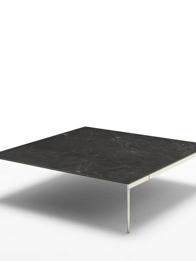 Darwin - coffee table