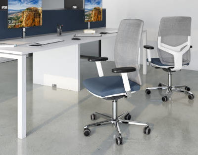 Office Chairs (Executive & Workstation)